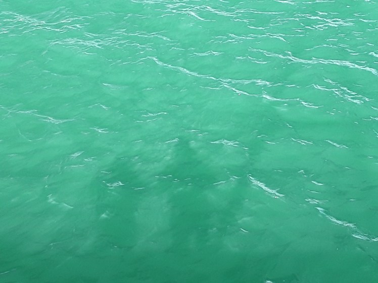 Irish Sea Water, ©by Andrea Connolly 