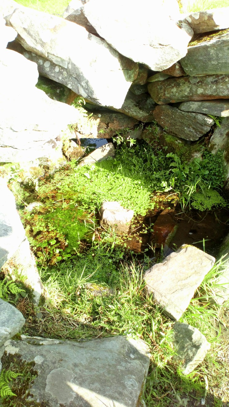 Well at Drombeg stone circle by Andrea Connolly