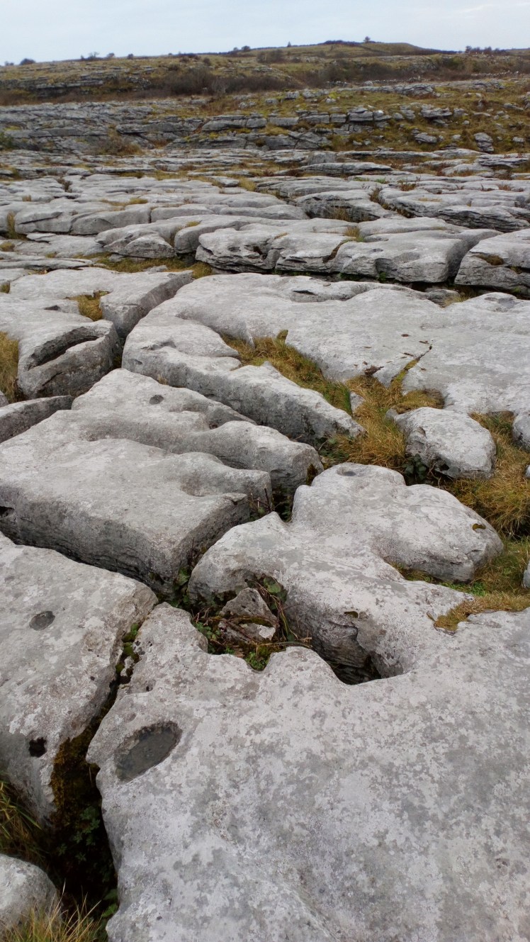 The Burren in Co. ClareDSC_5188